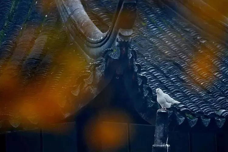 十首秋雨诗词，十种心情，你是哪一种？