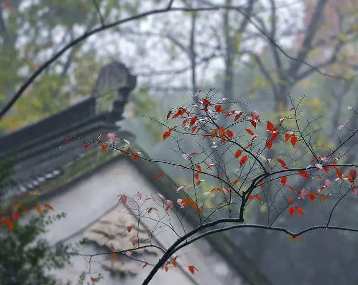 十首秋雨诗词，十种心情，你是哪一种？