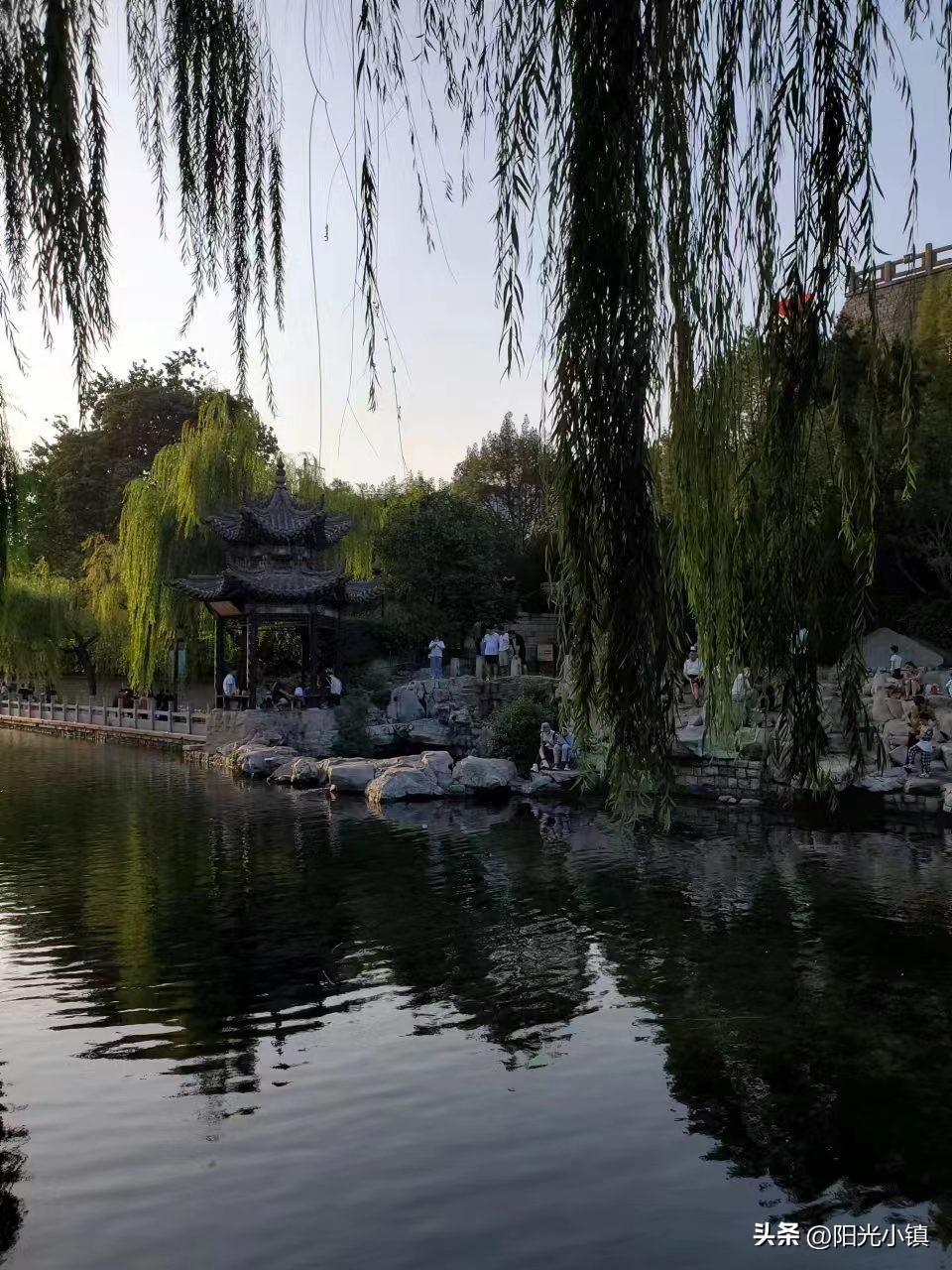 送你一片秋天的叶子，上面写满几世轮回的消息