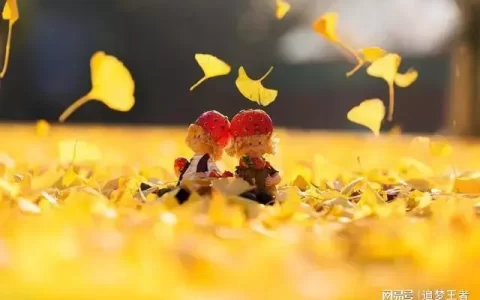 陪伴一生的情话简短