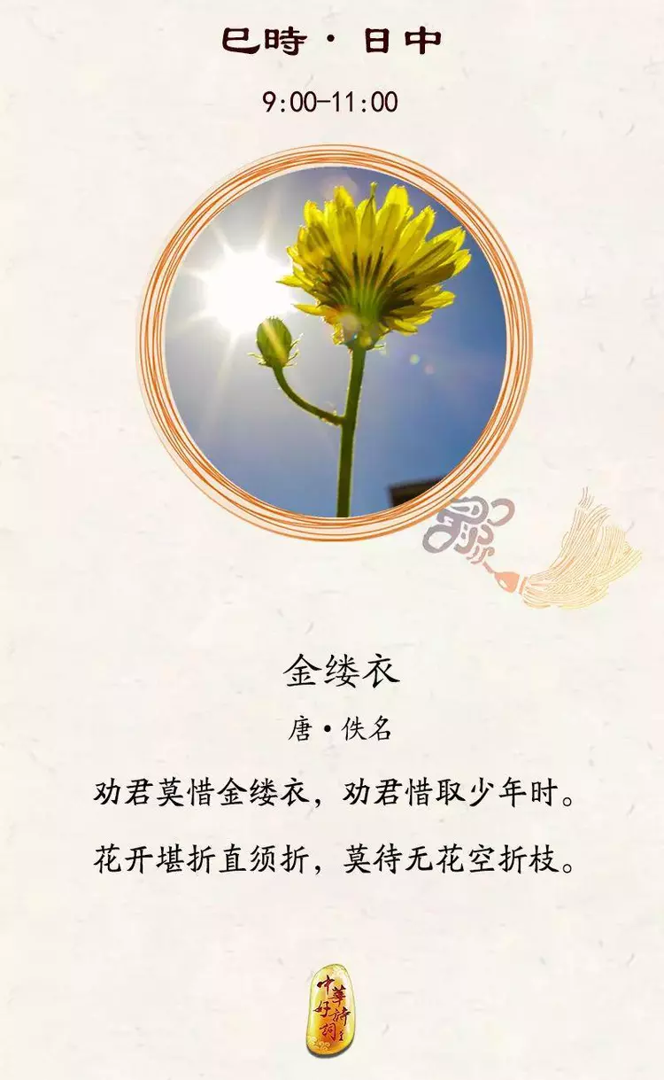 读这十二首诗，就读懂了中国人的一天