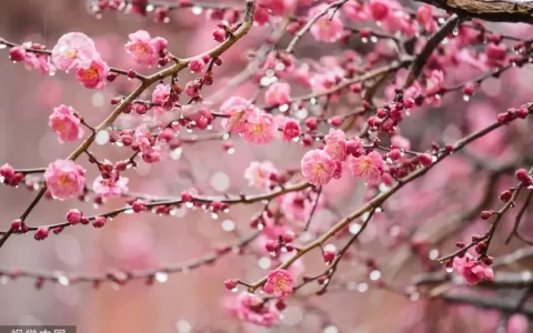 古诗词知识大全，收藏慢慢看！