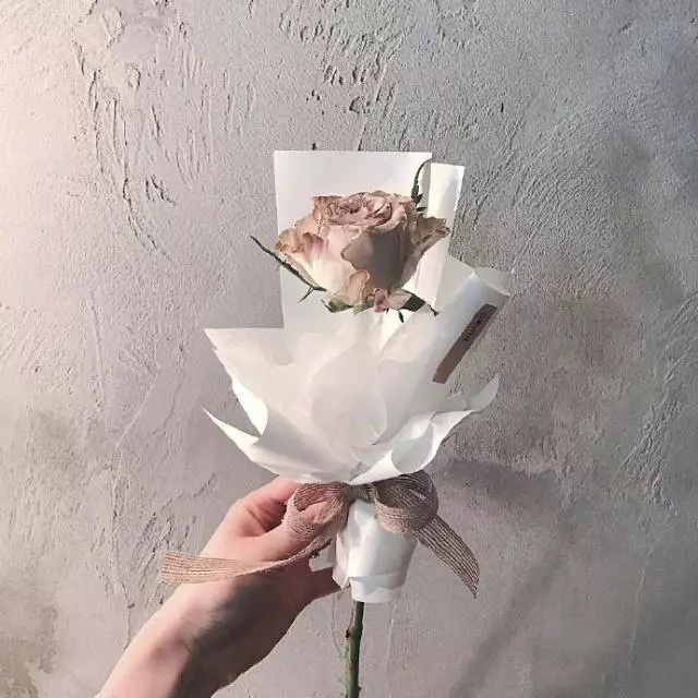 发朋友圈赞爆的人生格言