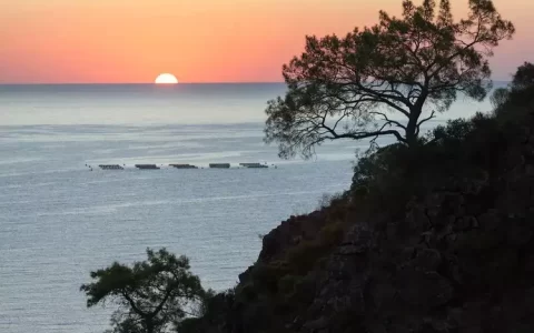 三毛最治愈的10句话，看完心就不累了
