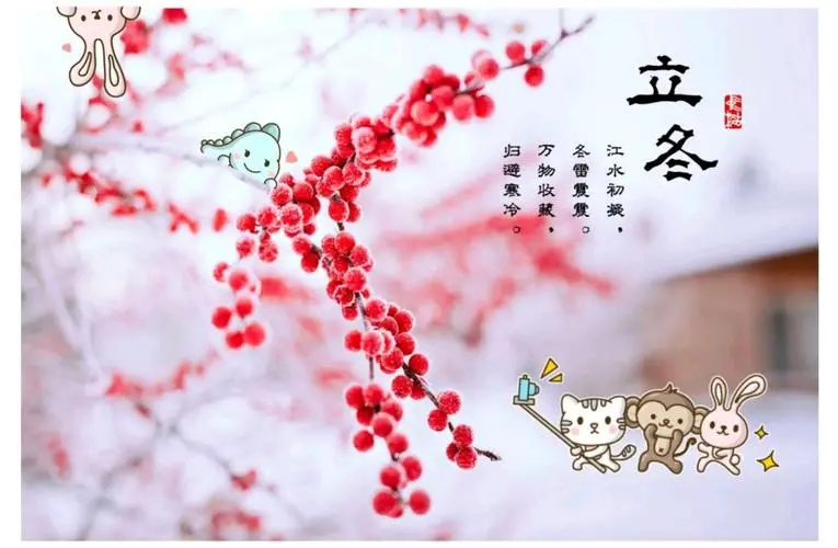 立冬文案朋友圈说说（精选185条）