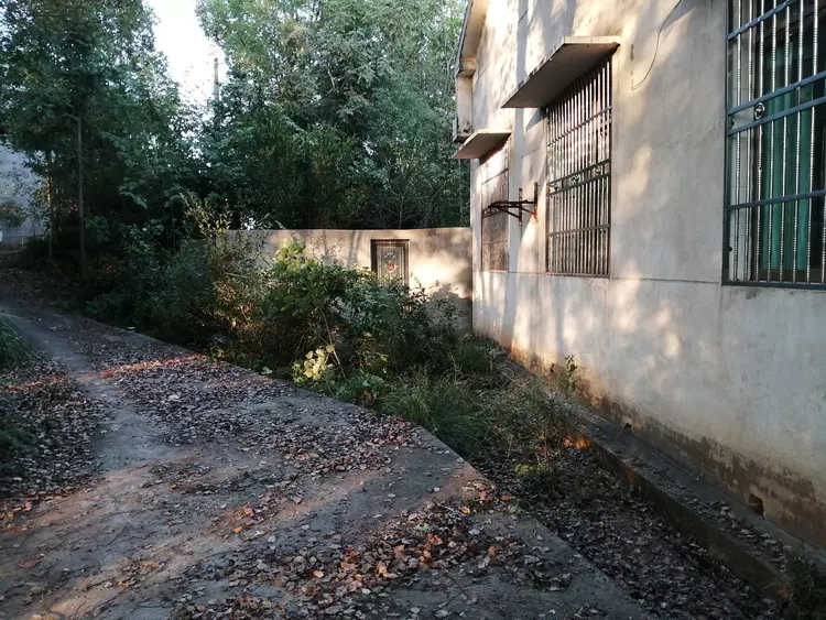 父母均已去世，我从广州回湖南老家，在3年没住人的老屋住了一晚