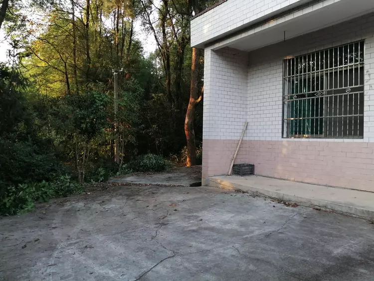 父母均已去世，我从广州回湖南老家，在3年没住人的老屋住了一晚