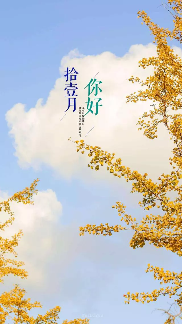 十月，时光静美；十一月，清欢依旧