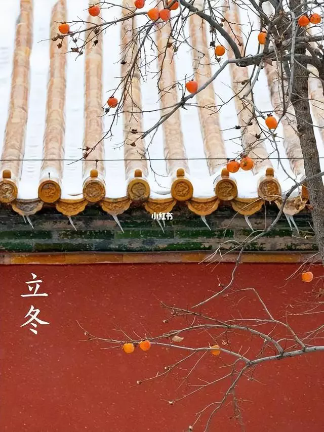 最懂的人是最暖的伴，这36则立冬文案、谚语和诗词，静下来慢慢品