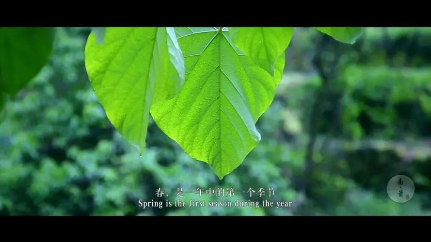 每日一句情话——爱藏在心底，温暖了四季