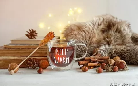 适合冬天发的暖心好词好句