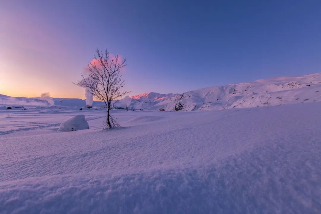 下雪了，36首冬雪诗词，带你感受今年的第一场雪