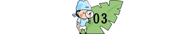 小学语文80句古诗词填空（附答案）