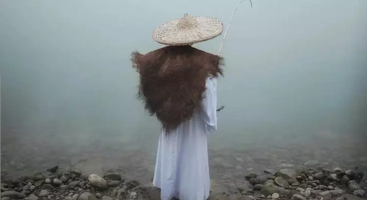 8首经典古诗词，梅兰竹菊，各显风韵