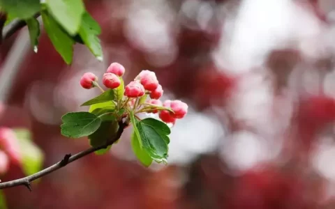 40个成语背后脍炙人口的古诗词