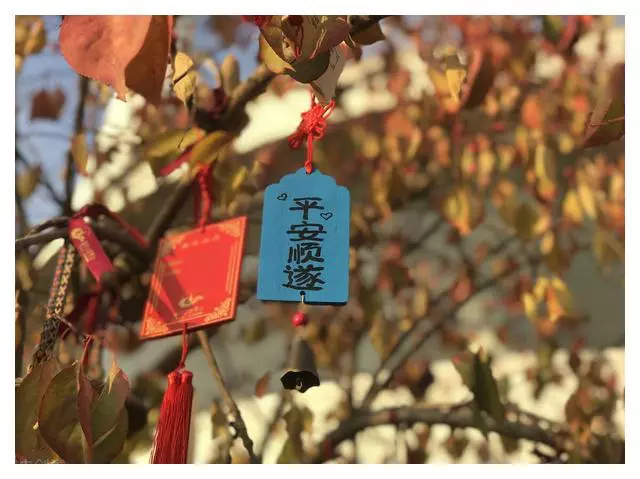 20句人生格言，人生哲理，正能量自我鼓励的句子