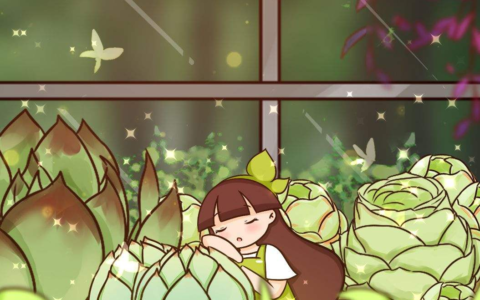 多肉植物怎么种植（多肉种植方法和注意事项）