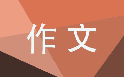 元旦作文500字优秀作文
