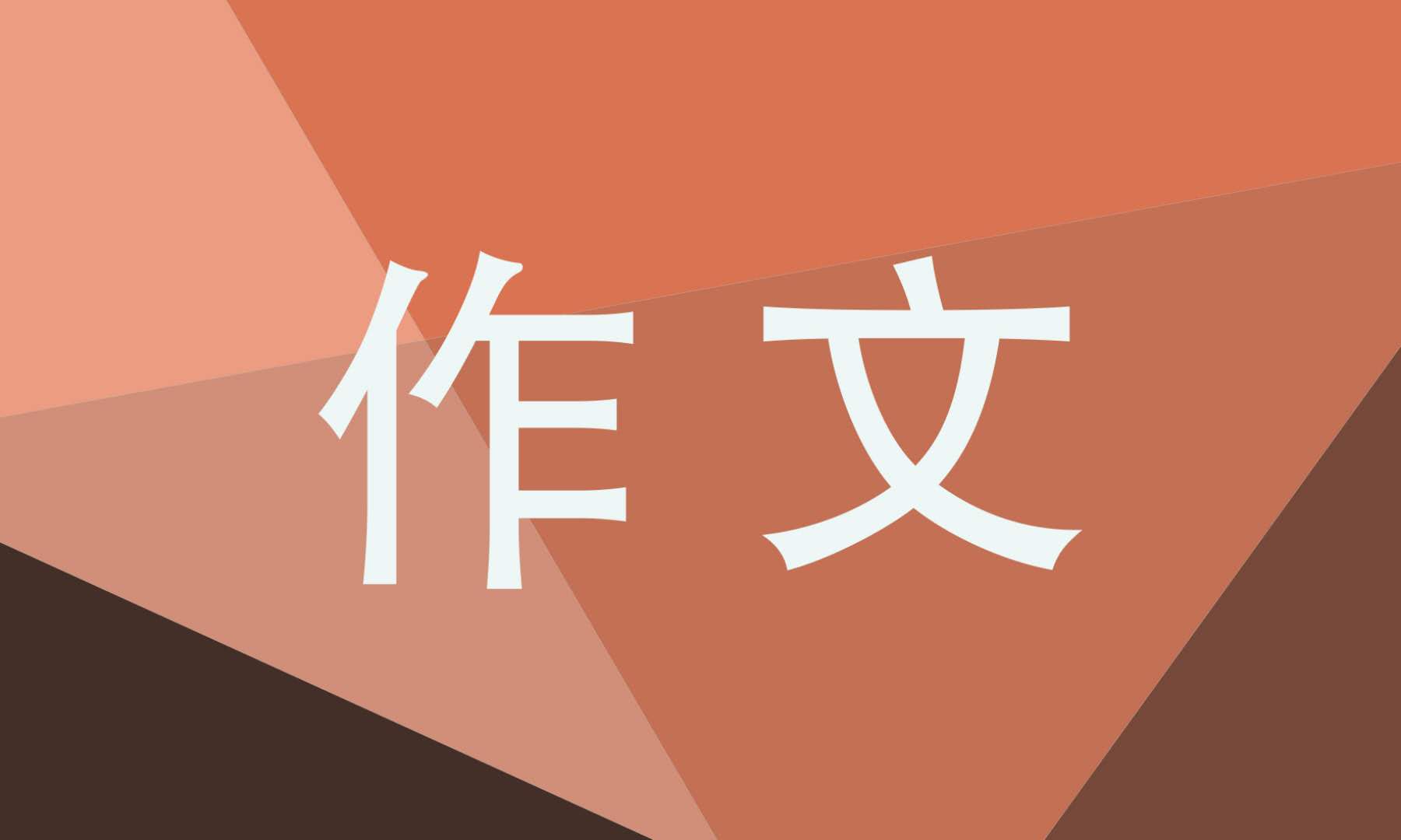元旦作文500字优秀作文