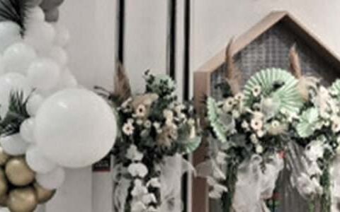 开业庆典策划方案范文集合（精选15篇)