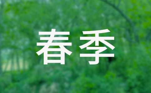 小学春季学期工作计划