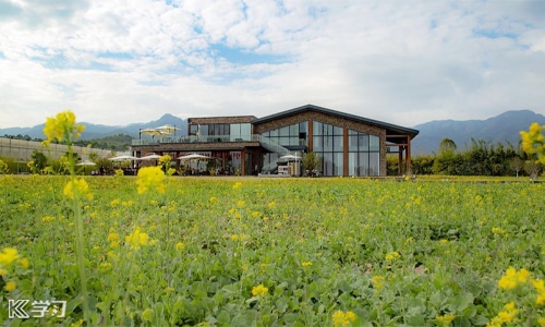 春天惊艳的文案(精选200句)