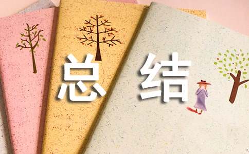 年终个人总结合集（精选13篇)