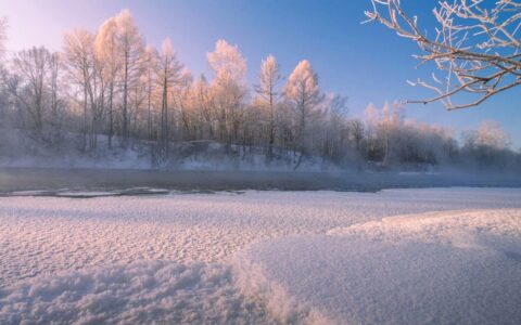 35首大寒诗词，飞雪漫天，寒梅独放，等下一个春天