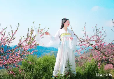 这10句网络流行用语，全部来源于古诗词，原诗句更有诗意，美不胜收