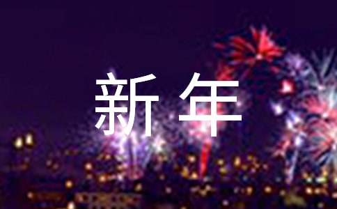 有关新年计划作文300字集锦（精选4篇）
