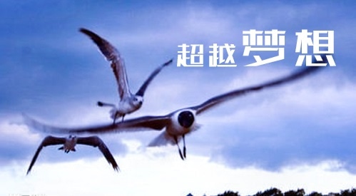 2020应届教师的求职自荐信范文
