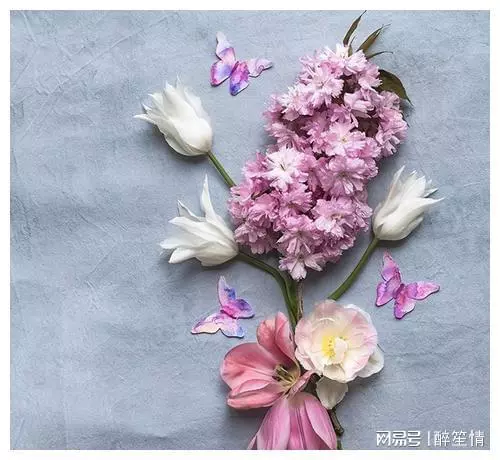 适合清洗心灵的人生金句，每日一读，豁达一生