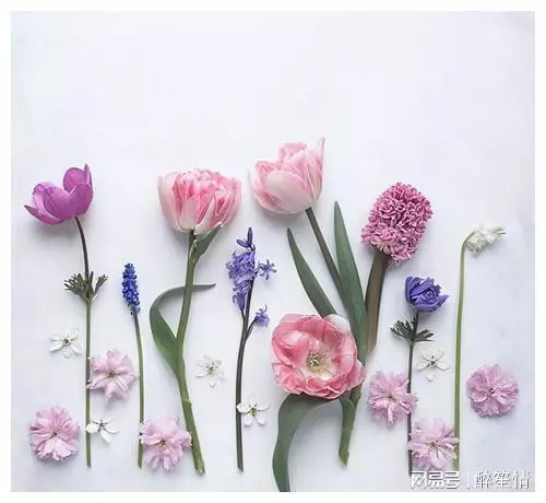 适合清洗心灵的人生金句，每日一读，豁达一生
