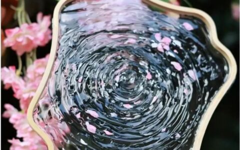 人生的20种欢喜，你占了几个？