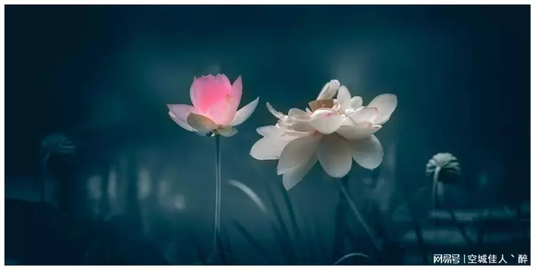 让人瞬间清醒的70句话，句句醍醐灌顶