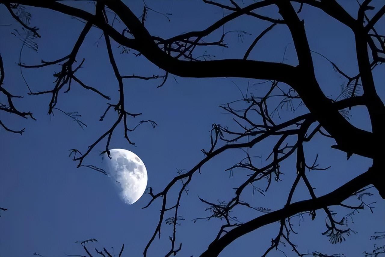 史上水平最高的20首词排行榜，宋朝之后有2首佳作入选