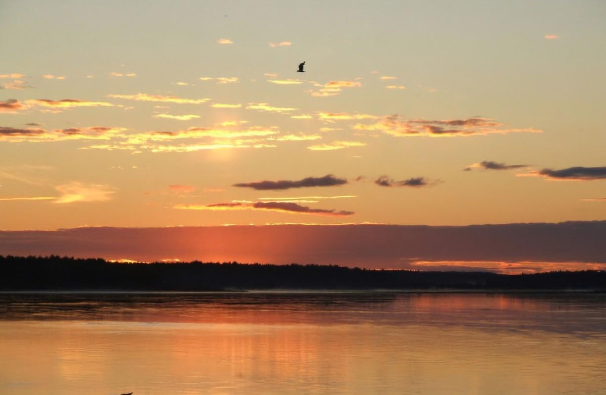 史上水平最高的20首词排行榜，宋朝之后有2首佳作入选