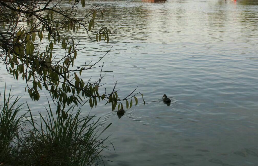 史上水平最高的20首词排行榜，宋朝之后有2首佳作入选