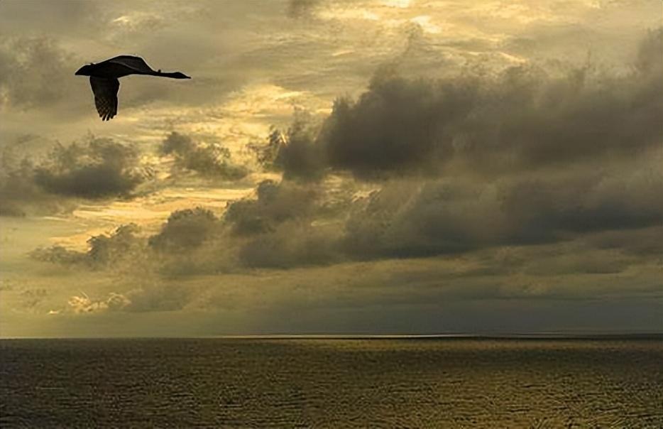 史上水平最高的20首词排行榜，宋朝之后有2首佳作入选