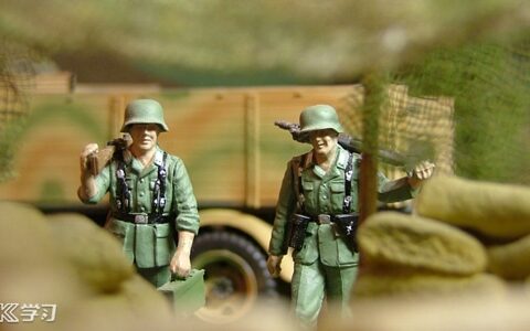 2022军训活动收获体会