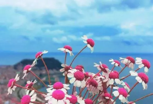 24句励志走心的感悟句子，斗志昂扬