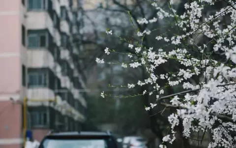 33句唯美朋友圈文案，最适合二月发！