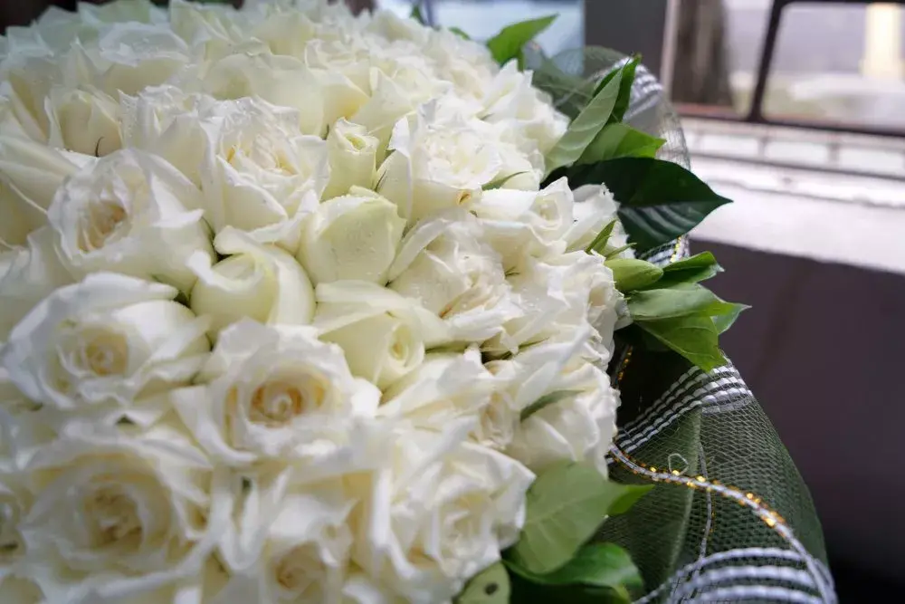 玫瑰花花语有什么意思（各种颜色玫瑰花语大全）
