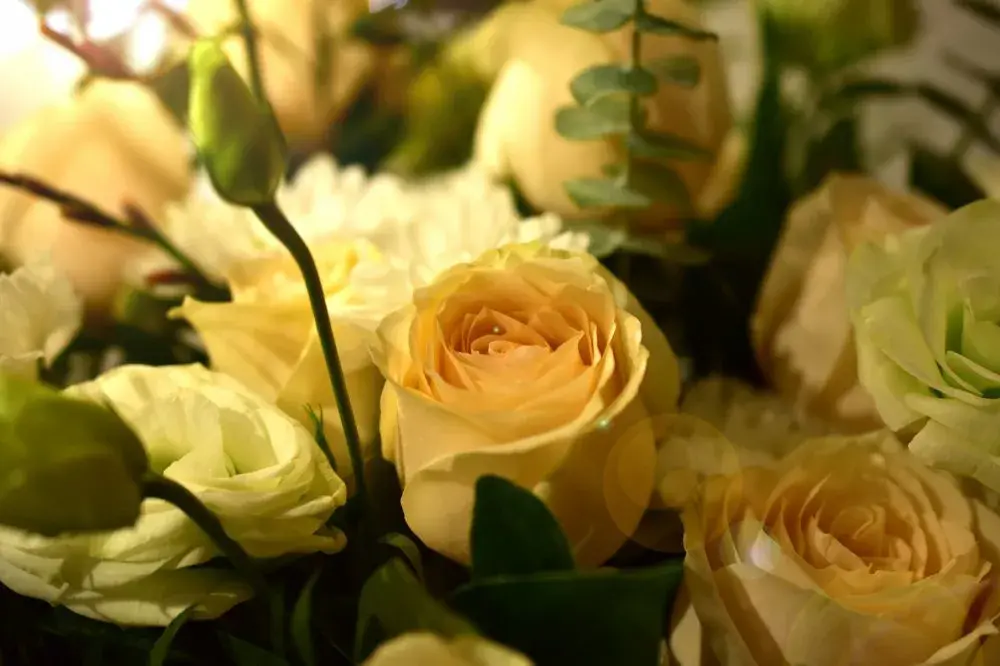 玫瑰花花语有什么意思（各种颜色玫瑰花语大全）