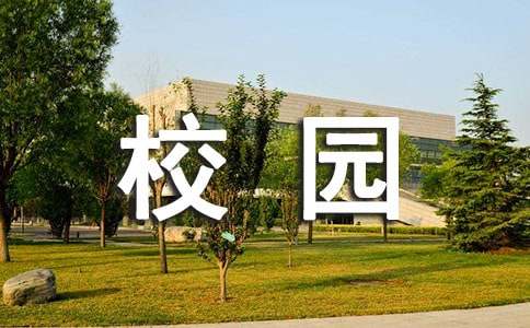 校园义卖活动策划(15篇)