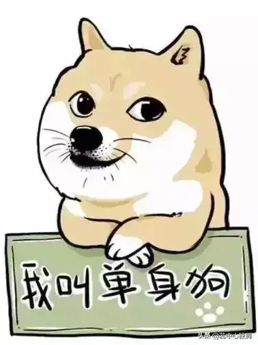 情人节，别样祝福，助你出圈