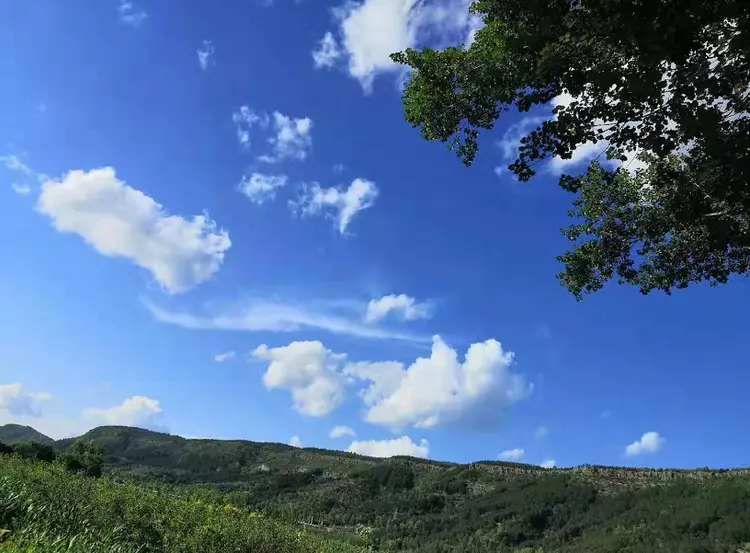 《了凡四训》10句名言，命由我作，福自己求！