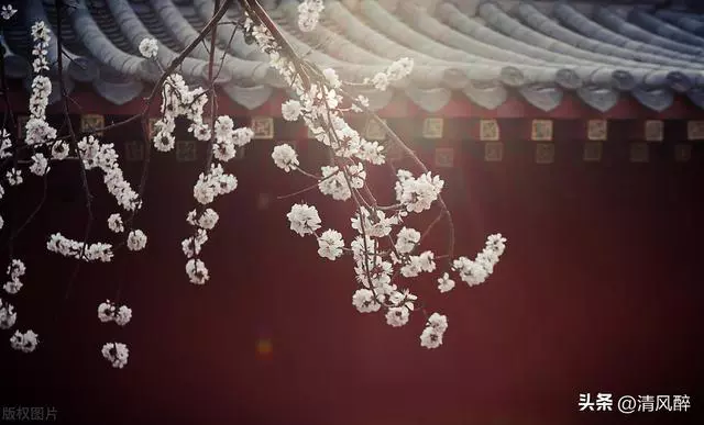2月再见3月你好美文短句精选15条