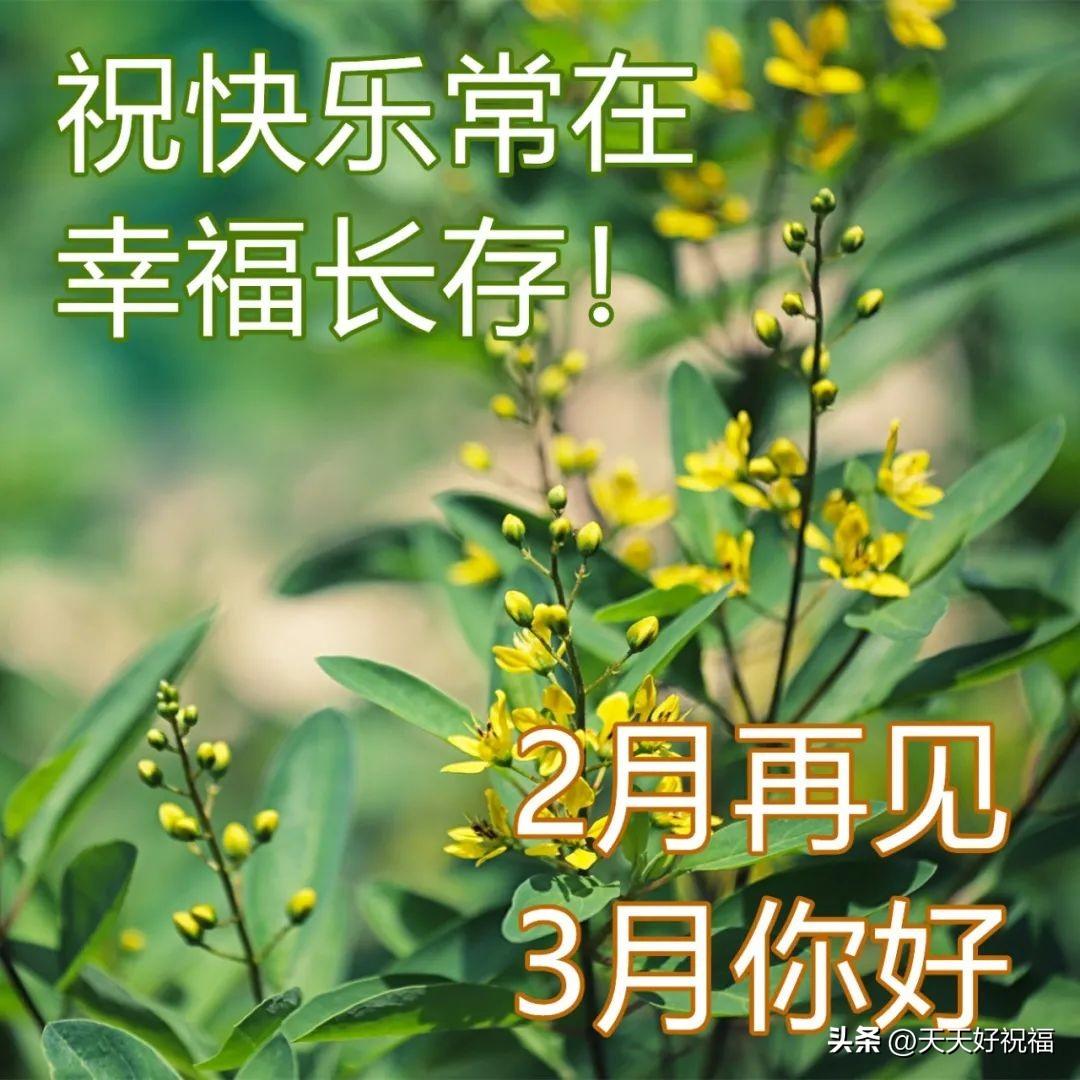 告别二月迎接三月阳光励志早安祝福语图文精选