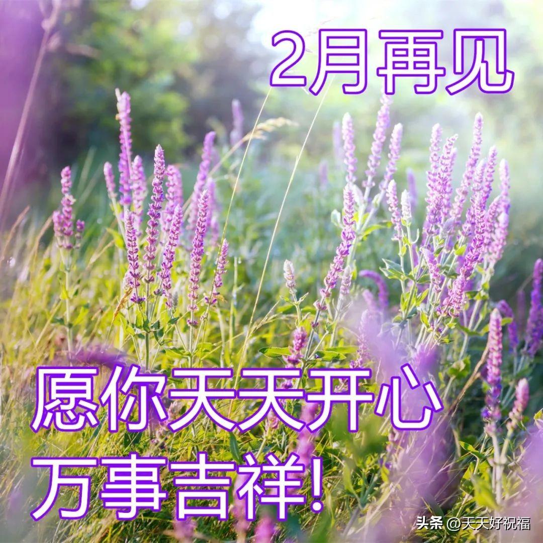告别二月迎接三月阳光励志早安祝福语图文精选
